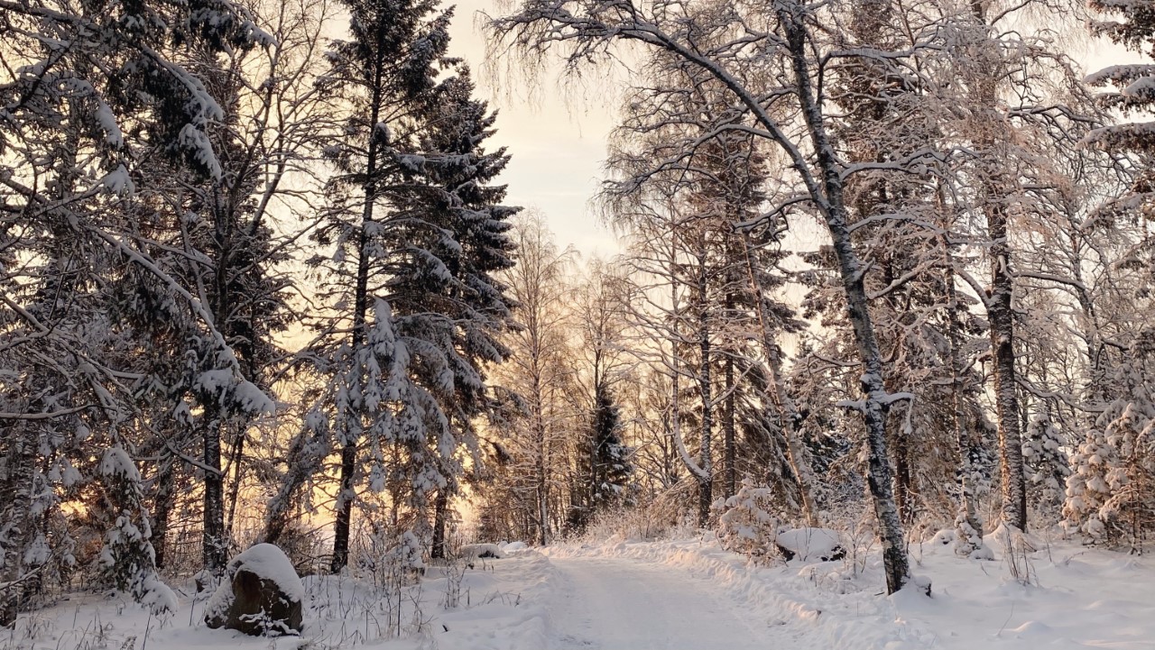 kiikelin ulkoilureitti kemi