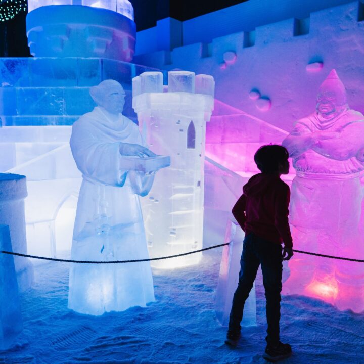 Snow experience