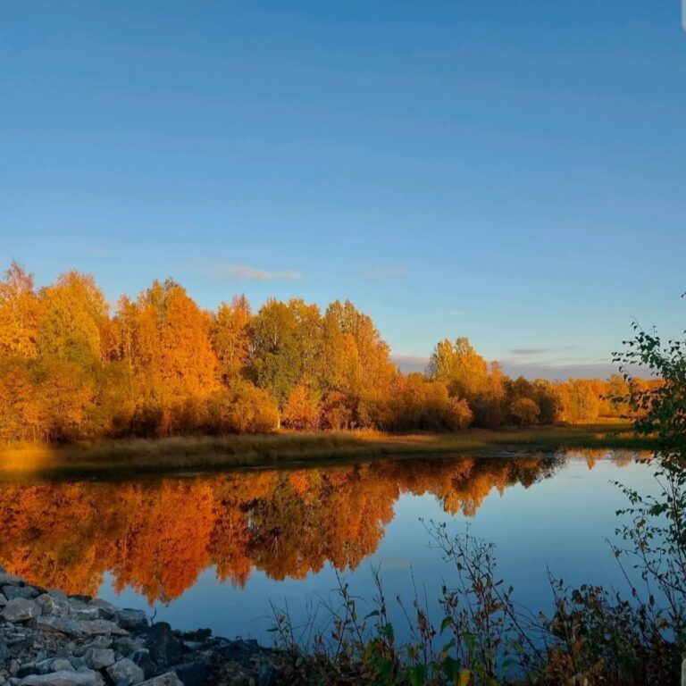 🍁 Lokakuu on täällä. Ruskan loisto väistyy hiljalleen ja vielä on hetki aikaa nauttia luonnon kauneu…